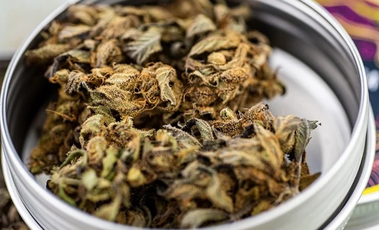 HOW DO YOU CONSUME KRATOM STRAINS LIKE A PRO?