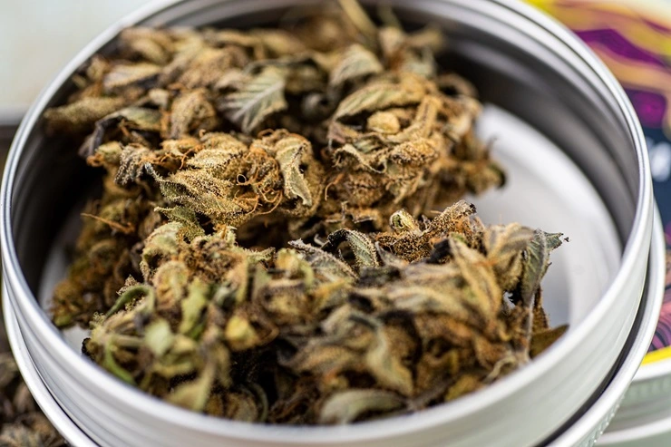 HOW DO YOU CONSUME KRATOM STRAINS LIKE A PRO?