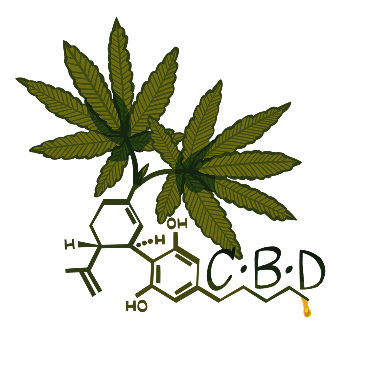 A Beginners Cheat Sheet to Growing Cannabis
