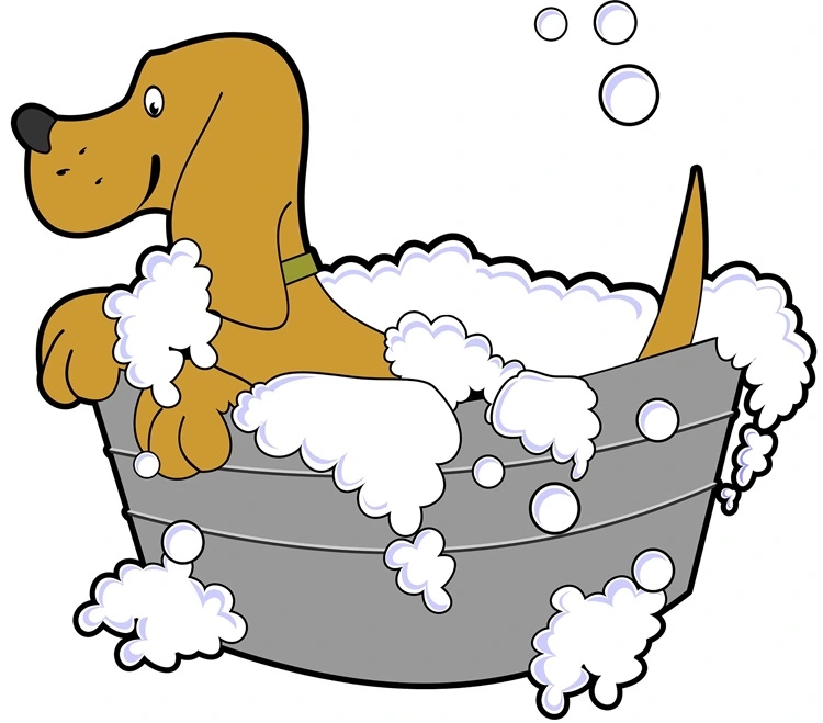 5 Essential Tips for Taking Care of a Dog