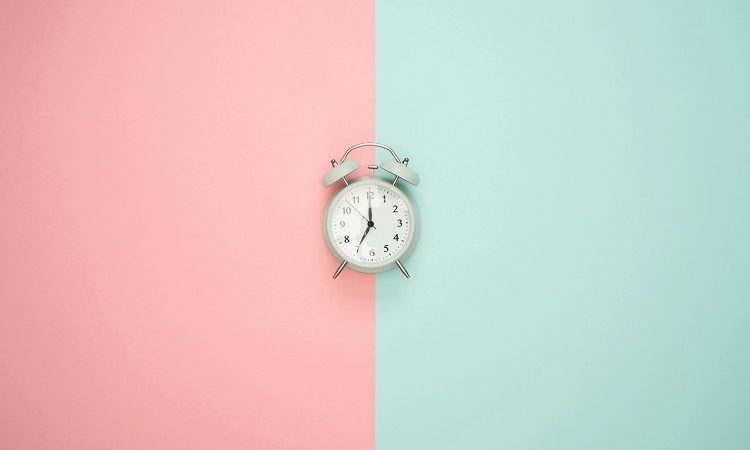 8009556600 – The Number to Know Before You Go