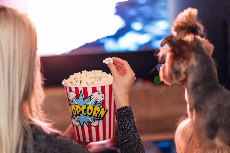 Goonierne 2 : A Deep Dive into Creativity, Culture, and Digital Storytelling