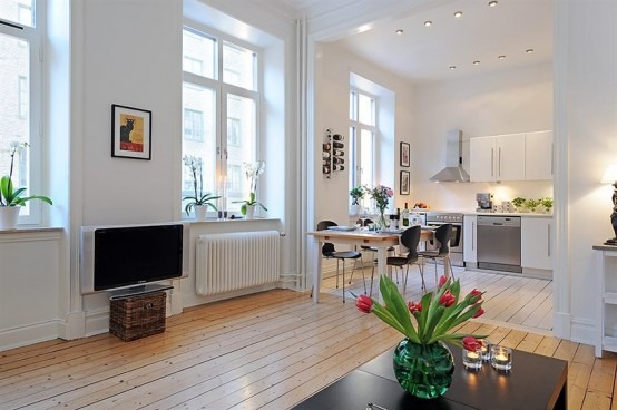Open floor plan apartment interior design